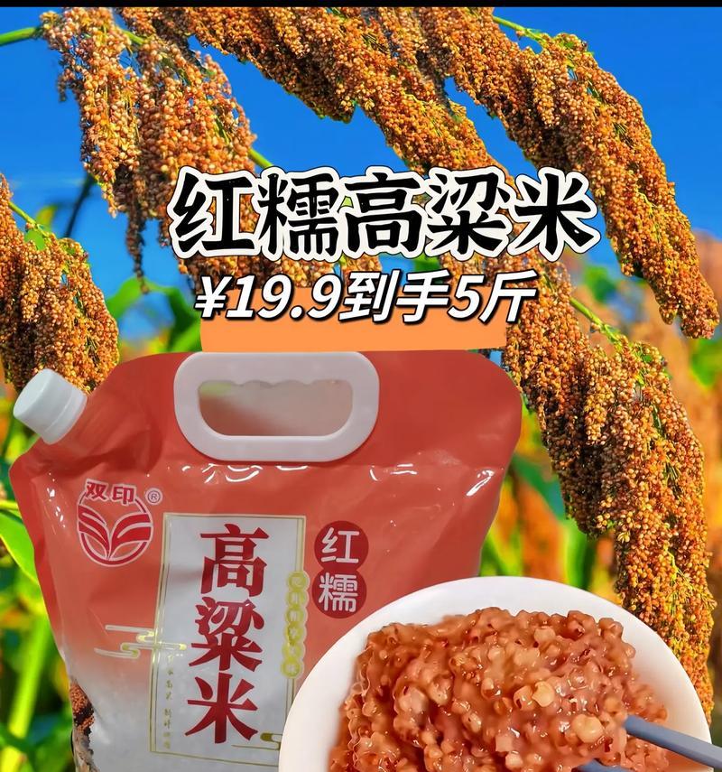 高粱的营养价值与药用功效（探秘高粱作为食材与药材的神奇效能）