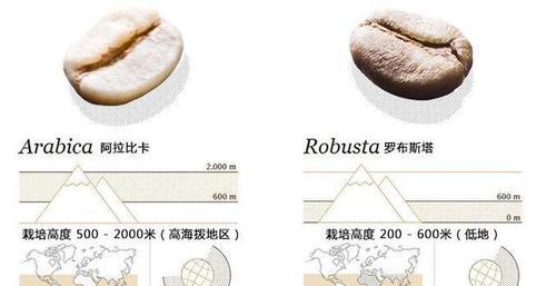 咖啡种植的技术与方法（种植优质咖啡的关键因素）