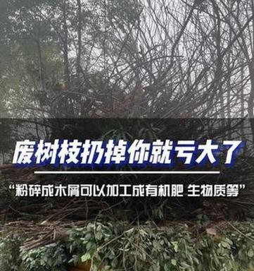 锯末肥料的优缺点分析（锯末作肥料的适用性及对土壤的影响）