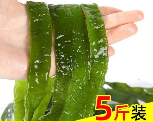 揭秘海带真面目（是种子植物吗？海带的生长环境与营养价值）
