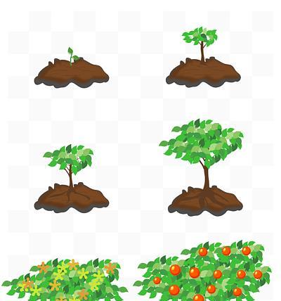 高粱种植技巧——从播种到出苗的全过程（高粱从种子到萌芽需要多长时间？如何科学地进行种植？）