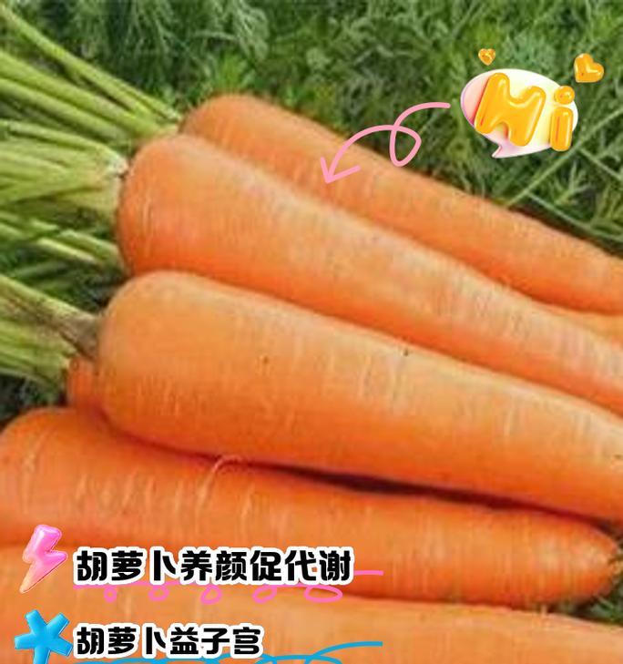 探究萝卜果实归属——是果实还是根茎？（植物学界对萝卜的争议，营养学上的价值如何？）