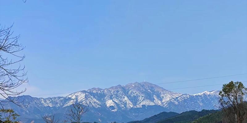 探讨在桂林种植樱桃的可行性（从土壤条件、气候特点、品种选择、管理技巧等方面进行分析）
