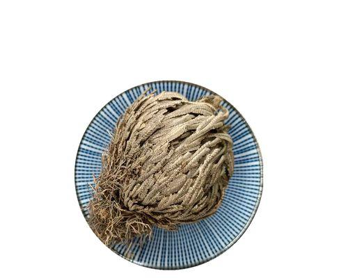 卷柏叶子发黄原因及应对措施（如何保持卷柏叶子的绿色）