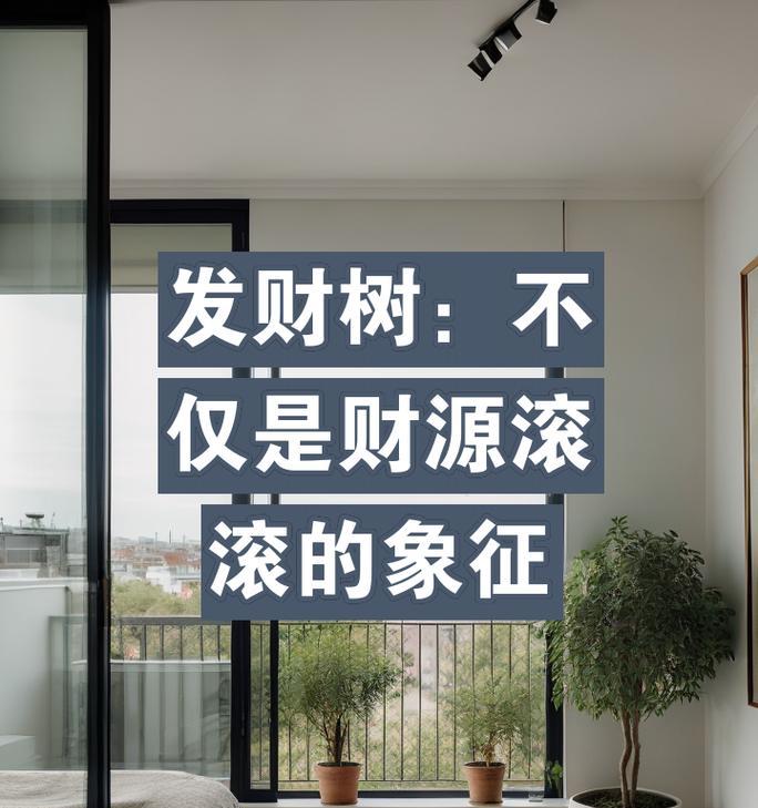 发财树的意义与传说（寓意深远的绿色之王）