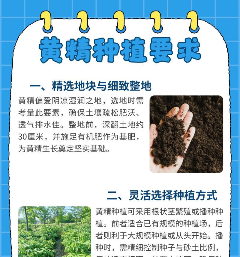 黄精的生态环境及适生地点（探究黄精的生长条件及分布区域）