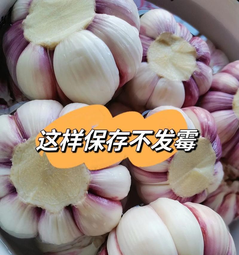 大蒜如何保鲜长久？（科学储存让你畅享大蒜美食。）