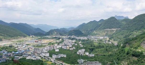 空心李成熟的标志与栽培技巧（如何判断空心李成熟？空心李的栽培技巧分享）