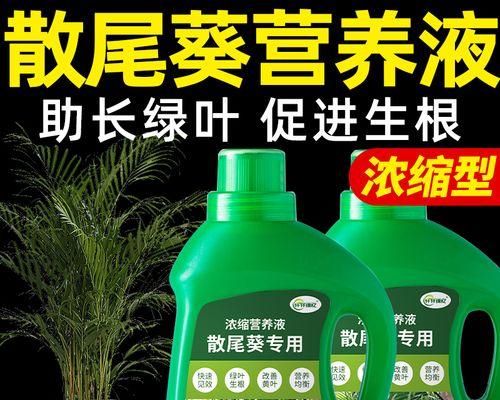 凤尾竹黄叶处理方法（让你的凤尾竹重新焕发生机）