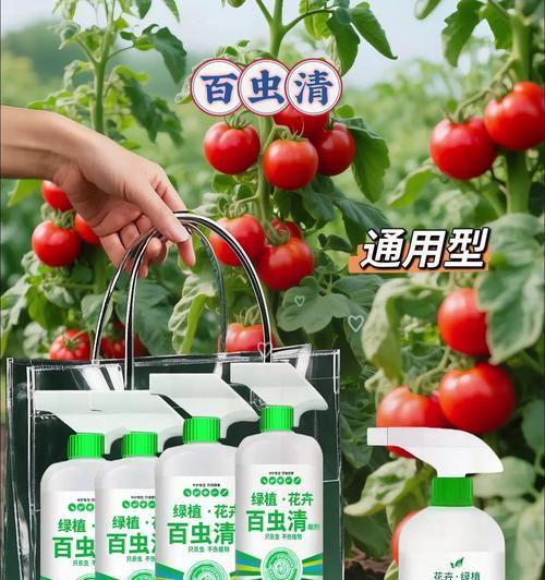 保护大岩桐花免受虫害侵害（如何有效应对大岩桐花的虫害问题）