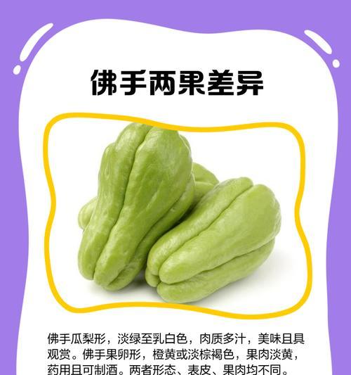 佛手瓜的生命力（探究佛手瓜的生长周期和特点，揭秘其生命力的奥秘）