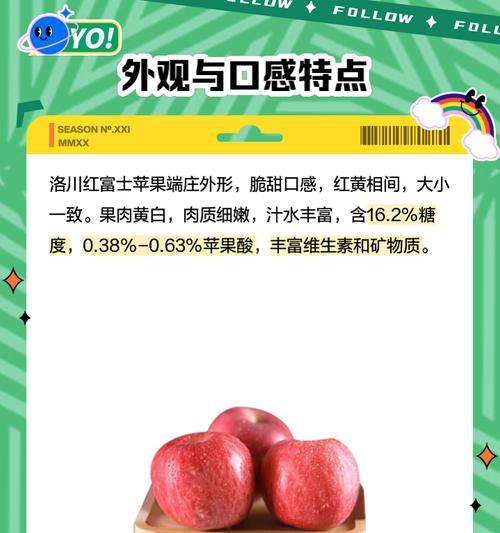 苹果的生长条件和特性（探秘苹果树的种植要点和生长习性，提升果农收成）