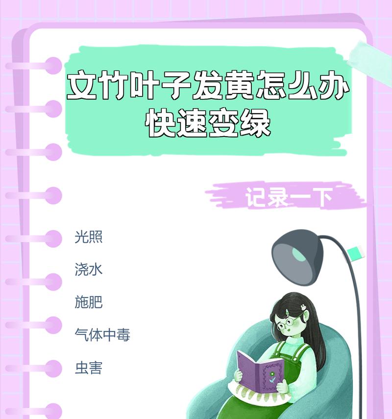 文竹叶子发黄的原因及处理方法（11月如何保护文竹，让其保持翠绿健康）
