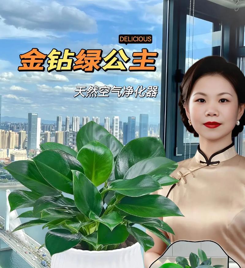绿钻花开花时间解析（一年几次？花期长短如何？开花因素有哪些？）