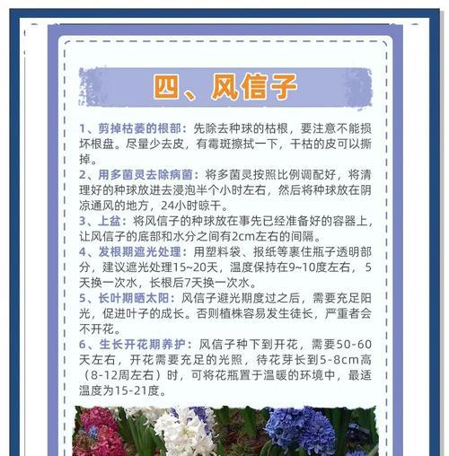 培养健康花卉根系的秘诀（根系管理与花卉生长的关键）