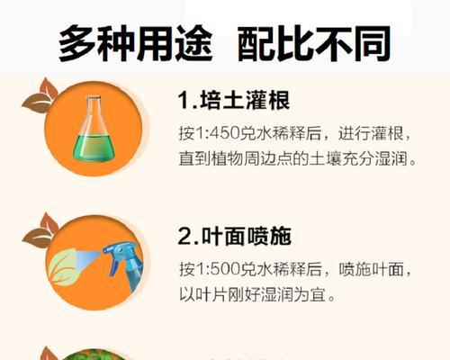 多肉植物喜肥养护秘籍（了解多肉肥料的种类与施用方法，让你的多肉植物更健康茁壮）
