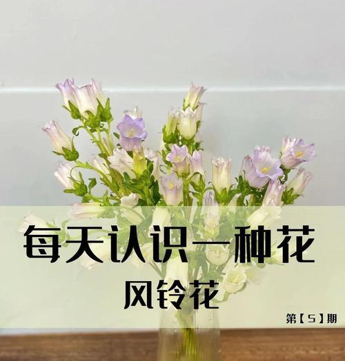 以空凤开花后花穗的处理方法（科学合理处理空凤开花后的花穗，让树木更健康）
