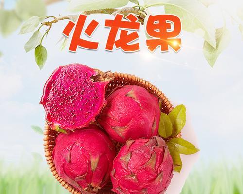 火龙果种植深度探究（合适深度的选择及影响因素）