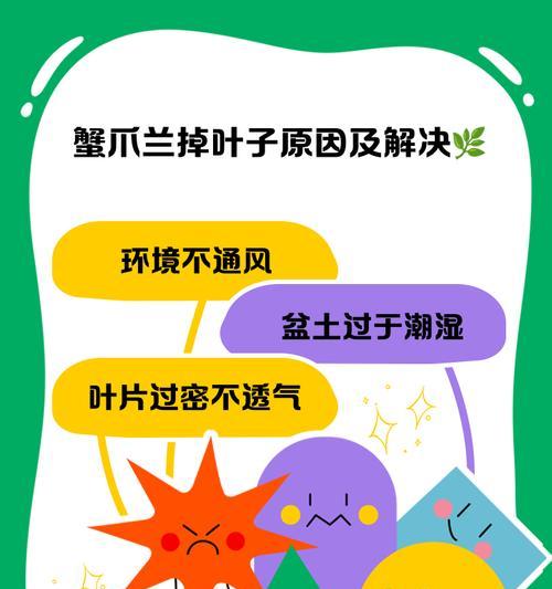 以蟹瓜兰发焉的独特魅力与养殖技巧（探索蟹瓜兰发焉的生长习性与增产方法）