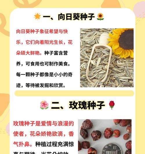 如何储存剩下的花种子（有效保存花种子的方法和技巧）