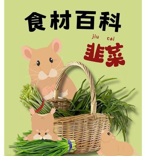 韭菜之神秘身世（揭秘韭菜的别名、生长环境及营养价值）