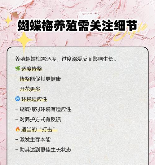 室内养殖蝴蝶梅的方法和注意事项（蝴蝶梅适合室内养吗？如何让蝴蝶梅在室内生长茂盛？）