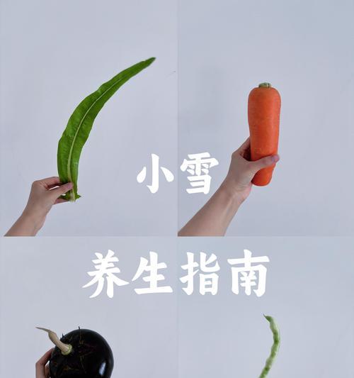 雪铁芋如何度过严寒的冬天