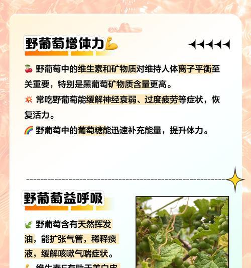 探究黑葡萄的健康魔力（黑葡萄为何备受青睐？其魅力在哪里？）