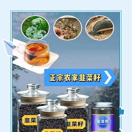 韭菜籽泡水喝的益处及注意事项（如何正确地泡韭菜籽水？）