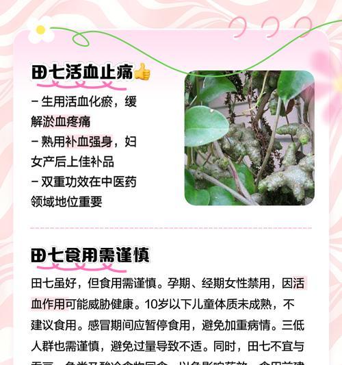 田七盆栽的养护技巧（掌握正确的方法，打造健康的田七盆栽）