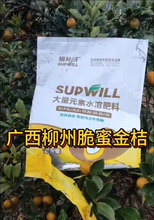 金桔挂果后的科学施肥方法（提高金桔产量的关键是正确施肥）